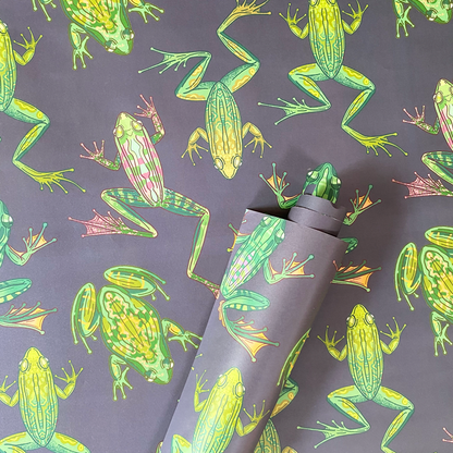 Wrapping Paper: Frogs on Charcoal  x 5 Sheets